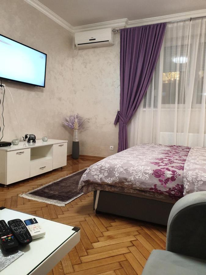 Elena Lux Lägenhet Belgrad Exteriör bild
